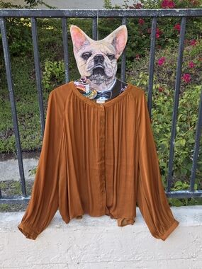 a new day Rust Button-Front Blouse